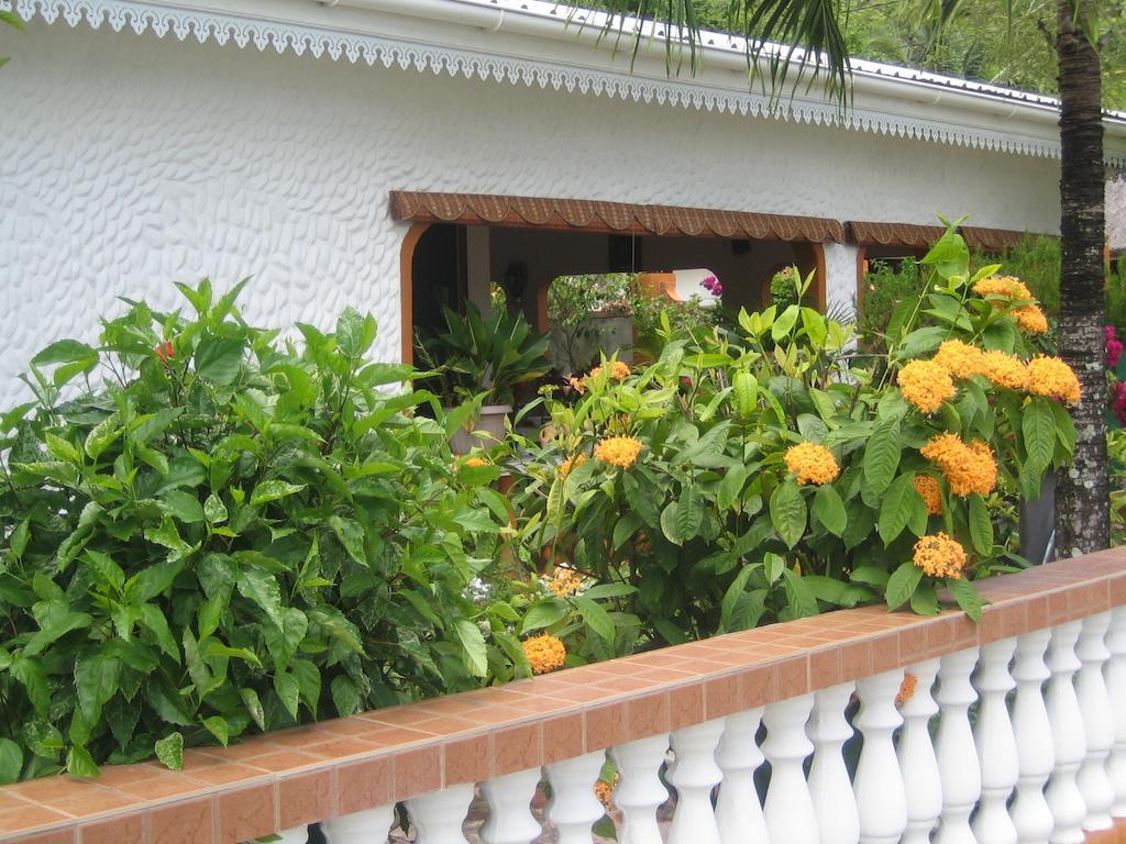 Villa Milou Baie Sainte Anne 部屋 写真